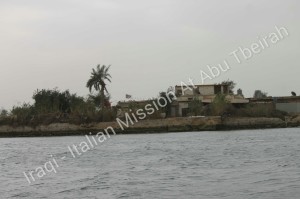 Gita in barca sullo Shatt el Arab (13)_wm