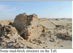 mud - bricks